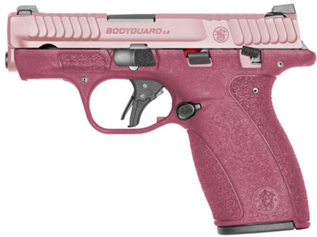 Picture of SMITH & WESSON BODYGUARD 2.0